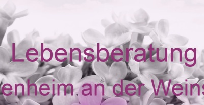 Lebensberatung Wachenheim an der Weinstraße | Top-Experten für Kartenlegen, Wahrsagen, Hellsehen, Zukunftsdeutung. Lebensberatung Wachenheim an der Weinstraße | Top-Experten für Kartenlegen, Wahrsagen, Hellsehen, Zukunftsdeutung.
